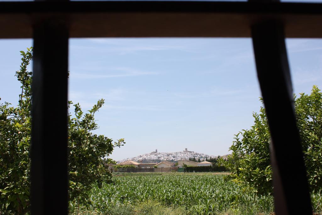 Hostal Rural La Plata Parking Incluido Arcos de la Frontera Ngoại thất bức ảnh